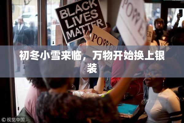 初冬小雪来临，万物开始换上银装