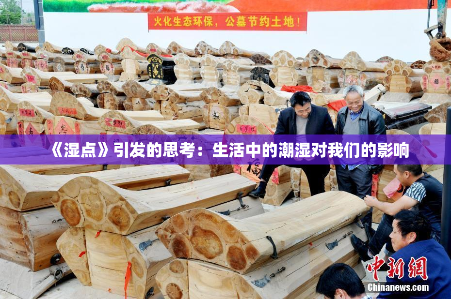 《湿点》引发的思考：生活中的潮湿对我们的影响