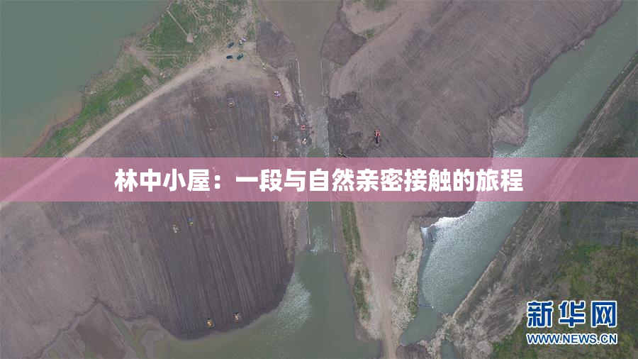 林中小屋：一段与自然亲密接触的旅程