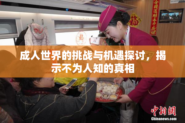 成人世界的挑战与机遇探讨，揭示不为人知的真相