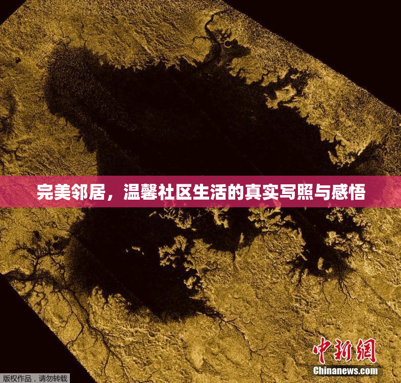 完美邻居，温馨社区生活的真实写照与感悟