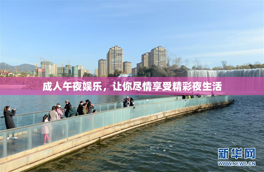 成人午夜娱乐，让你尽情享受精彩夜生活
