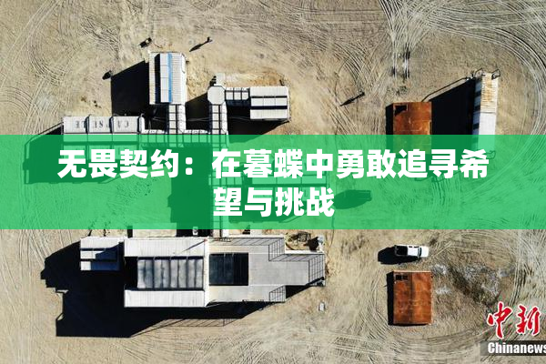 无畏契约：在暮蝶中勇敢追寻希望与挑战