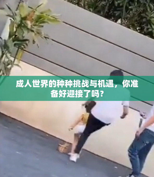成人世界的种种挑战与机遇，你准备好迎接了吗？