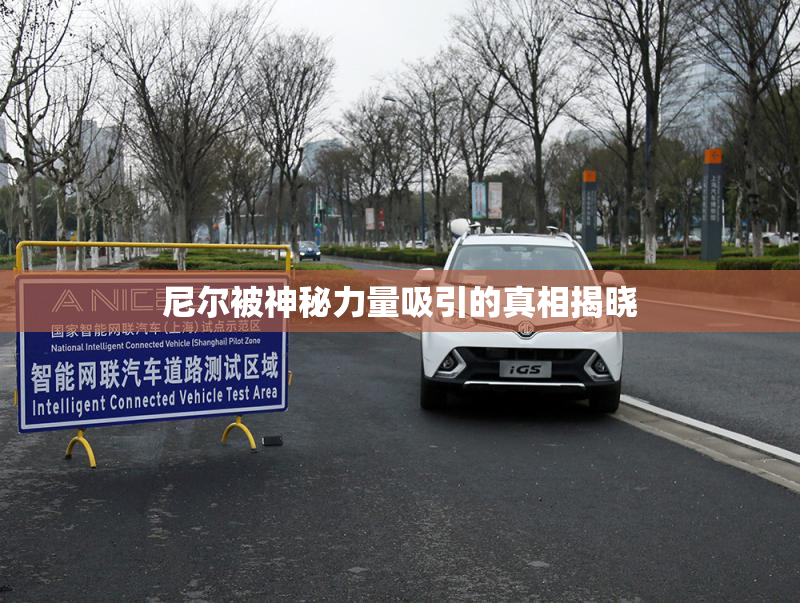 尼尔被神秘力量吸引的真相揭晓
