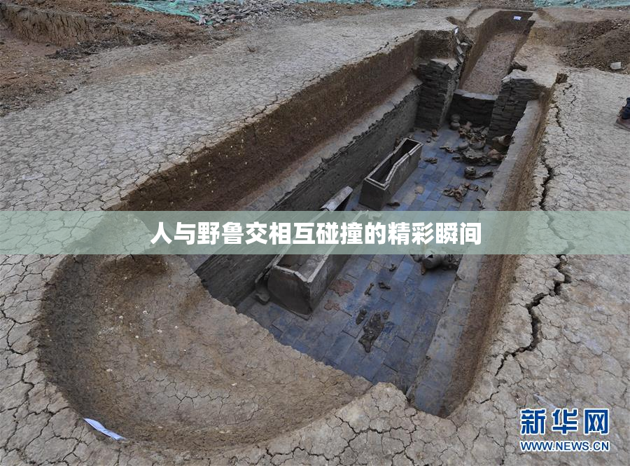 人与野鲁交相互碰撞的精彩瞬间