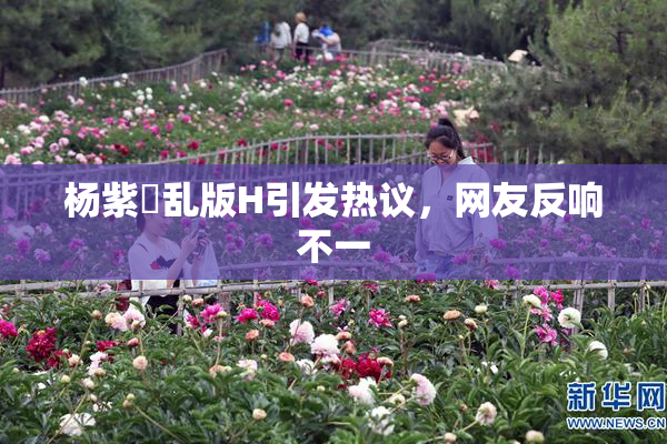 杨紫婬乱版H引发热议，网友反响不一