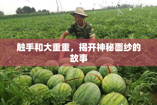 触手和大重重，揭开神秘面纱的故事