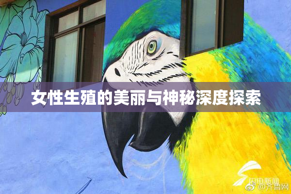 女性生殖的美丽与神秘深度探索