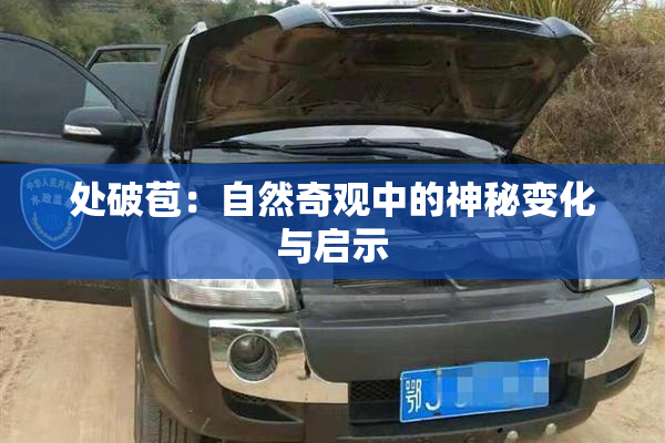 处破苞：自然奇观中的神秘变化与启示