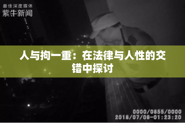 人与拘一重：在法律与人性的交错中探讨