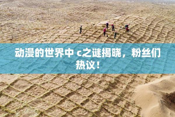 动漫的世界中 c之谜揭晓，粉丝们热议！