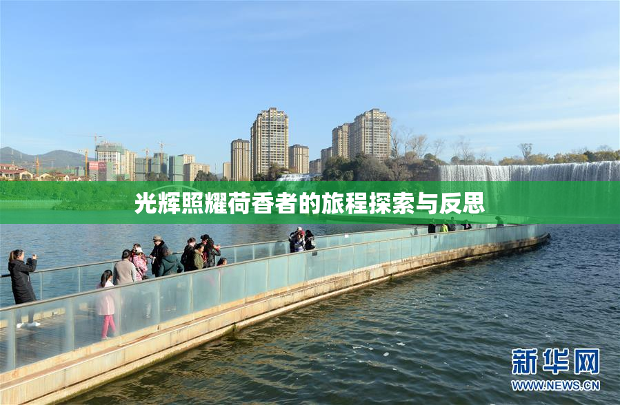 光辉照耀荷香者的旅程探索与反思