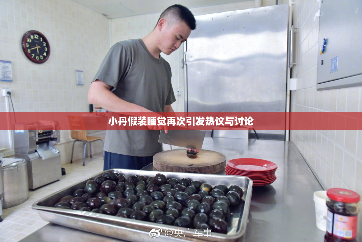 小丹假装睡觉再次引发热议与讨论