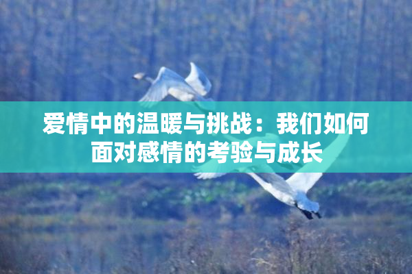 爱情中的温暖与挑战：我们如何面对感情的考验与成长