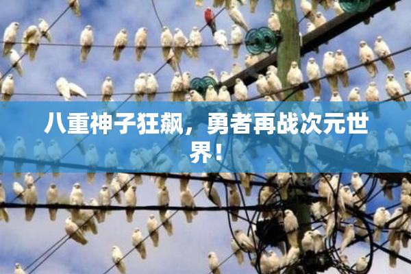 八重神子狂飙，勇者再战次元世界！