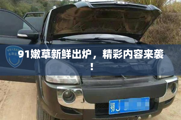 91嫩草新鲜出炉，精彩内容来袭！