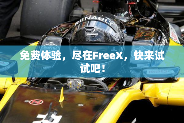 免费体验，尽在FreeX，快来试试吧！