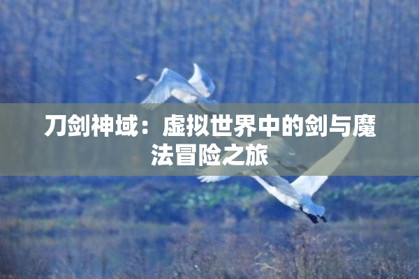 刀剑神域：虚拟世界中的剑与魔法冒险之旅