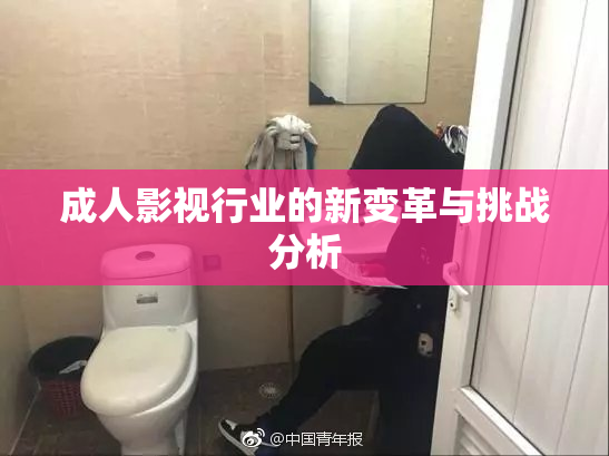 成人影视行业的新变革与挑战分析