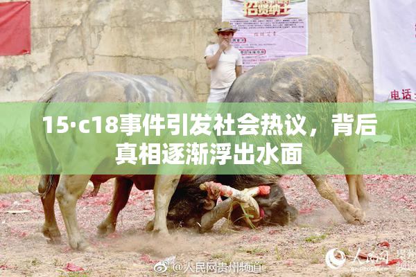 15·c18事件引发社会热议，背后真相逐渐浮出水面