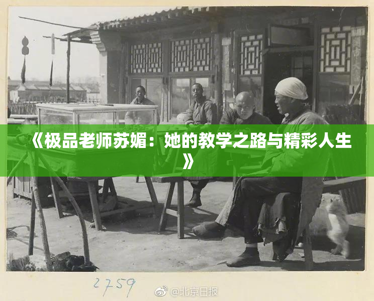 《极品老师苏媚：她的教学之路与精彩人生》