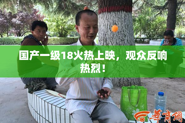 国产一级18火热上映，观众反响热烈！