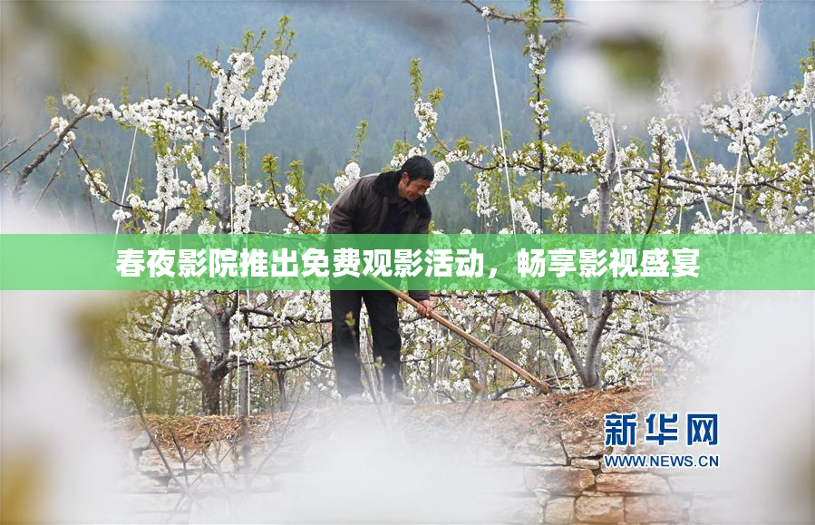春夜影院推出免费观影活动，畅享影视盛宴