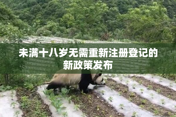 未满十八岁无需重新注册登记的新政策发布