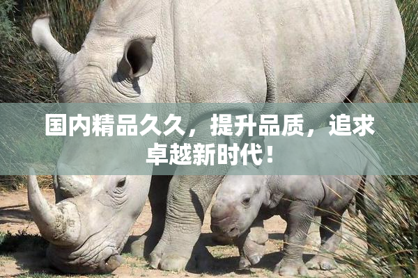 国内精品久久，提升品质，追求卓越新时代！