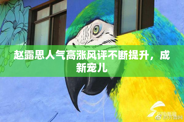 赵露思人气高涨风评不断提升，成新宠儿
