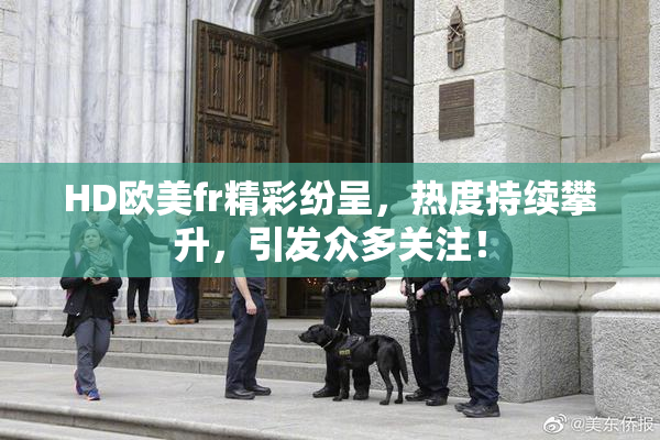HD欧美fr精彩纷呈，热度持续攀升，引发众多关注！