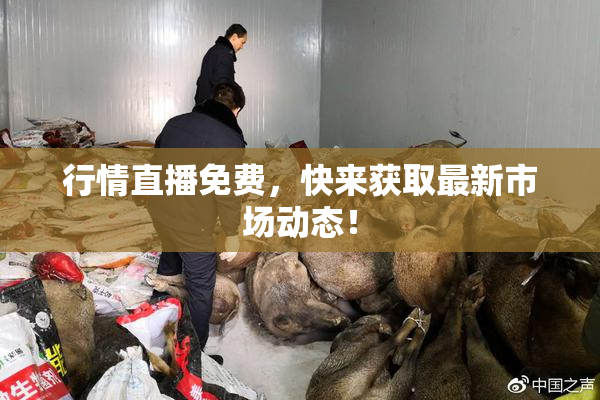 行情直播免费，快来获取最新市场动态！