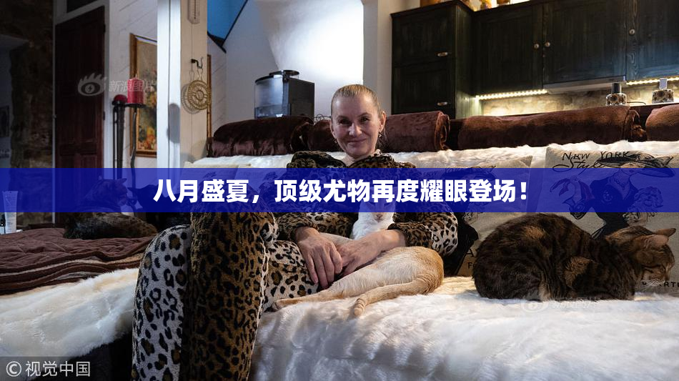 八月盛夏，顶级尤物再度耀眼登场！
