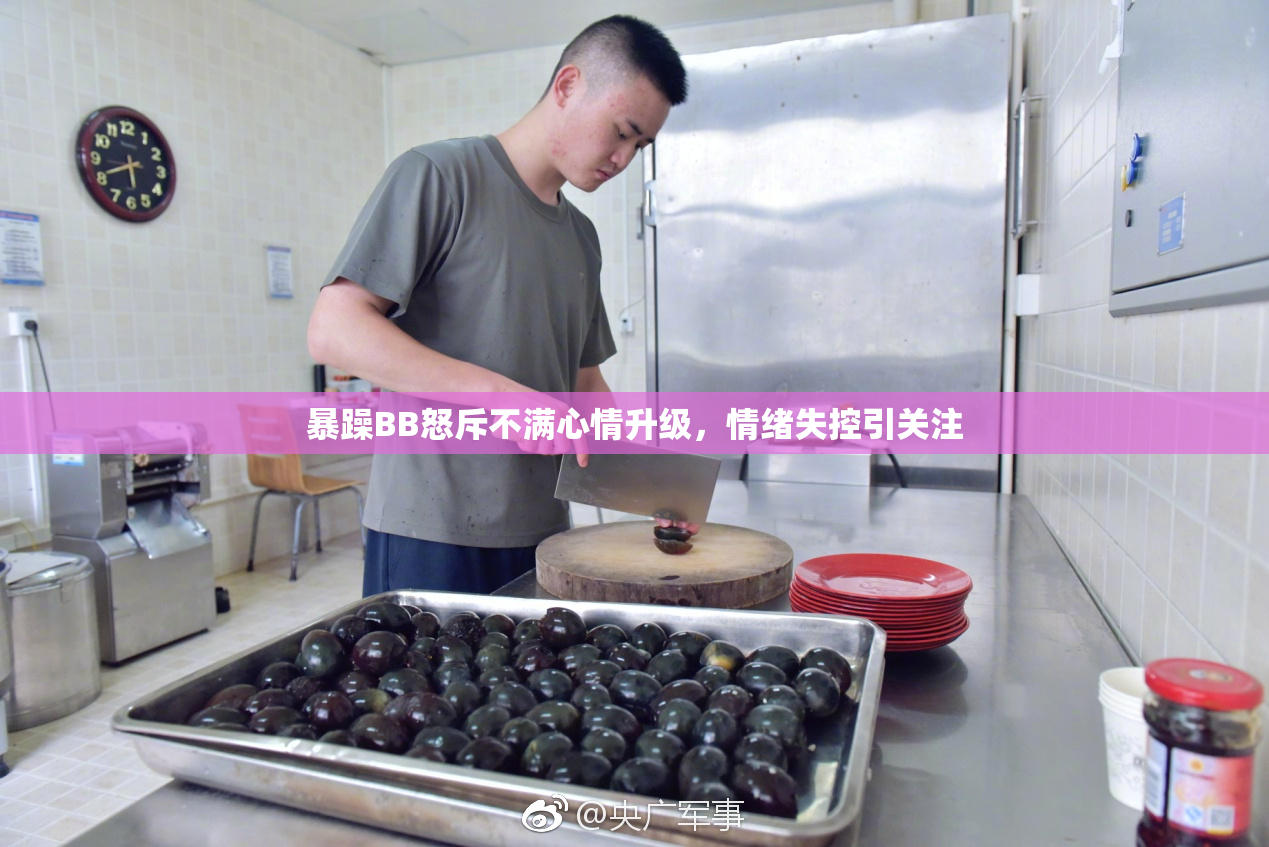 暴躁BB怒斥不满心情升级，情绪失控引关注