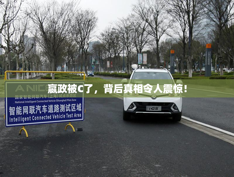 嬴政被C了，背后真相令人震惊！