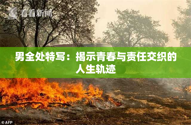男全处特写：揭示青春与责任交织的人生轨迹