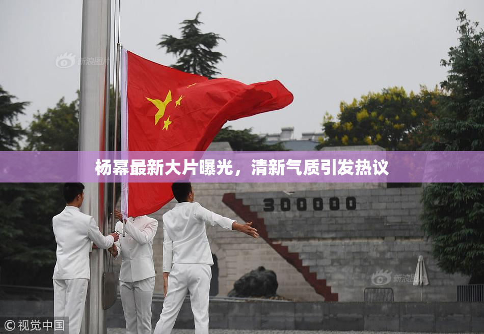 杨幂最新大片曝光，清新气质引发热议