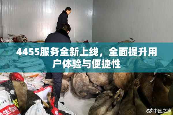 4455服务全新上线，全面提升用户体验与便捷性