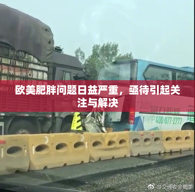 欧美肥胖问题日益严重，亟待引起关注与解决