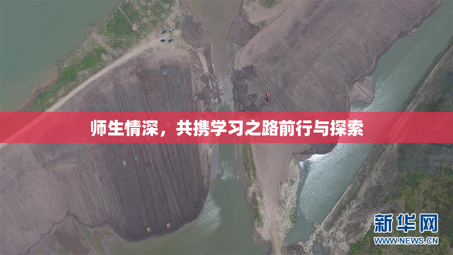 师生情深，共携学习之路前行与探索