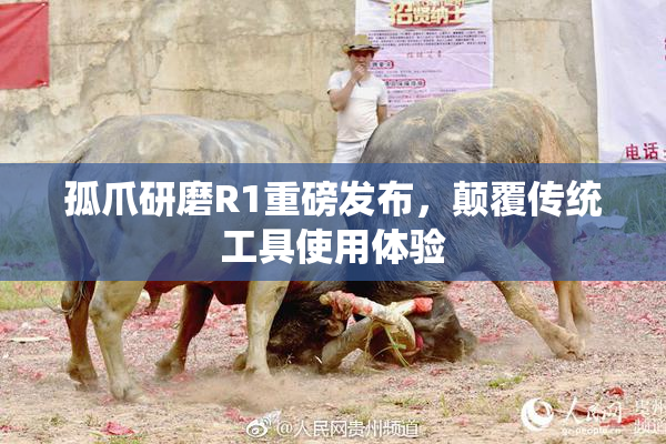 孤爪研磨R1重磅发布，颠覆传统工具使用体验