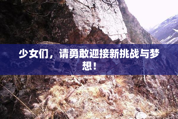 少女们，请勇敢迎接新挑战与梦想！