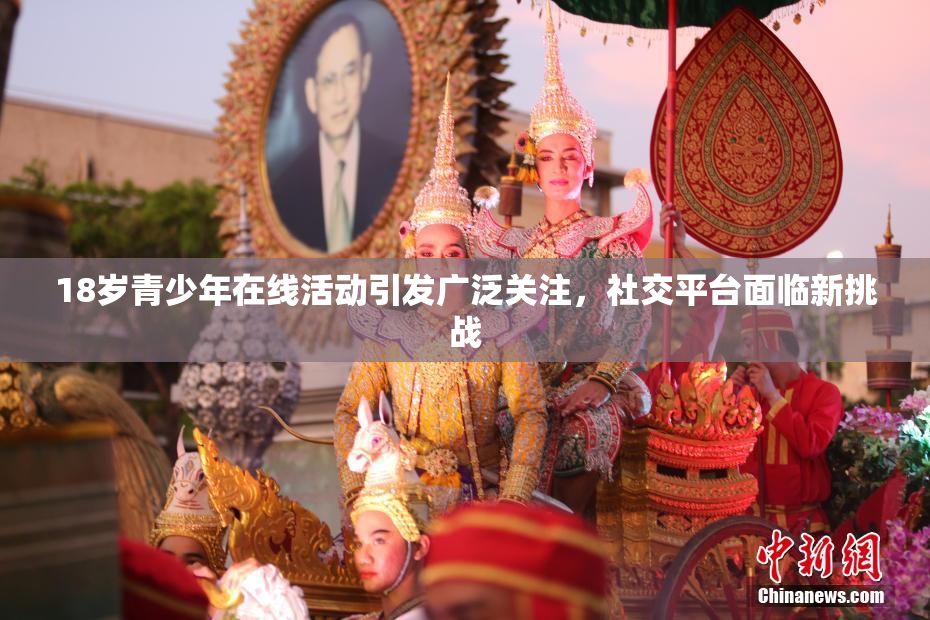 18岁青少年在线活动引发广泛关注，社交平台面临新挑战