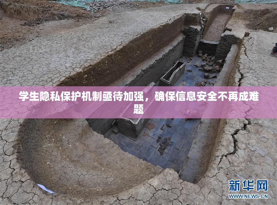学生隐私保护机制亟待加强，确保信息安全不再成难题