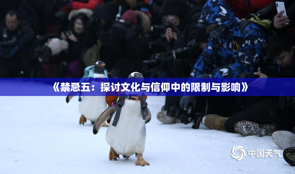 《禁忌五：探讨文化与信仰中的限制与影响》