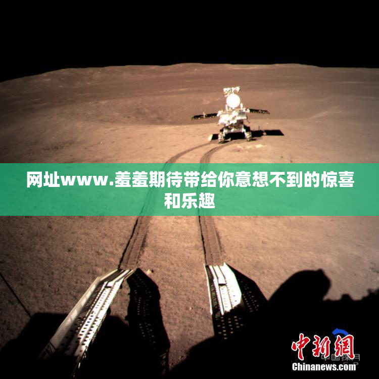 网址www.羞羞期待带给你意想不到的惊喜和乐趣