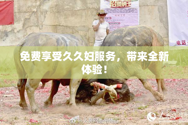 免费享受久久妇服务，带来全新体验！