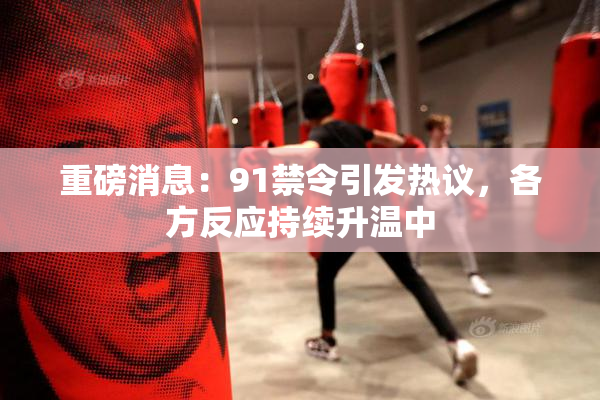 重磅消息：91禁令引发热议，各方反应持续升温中