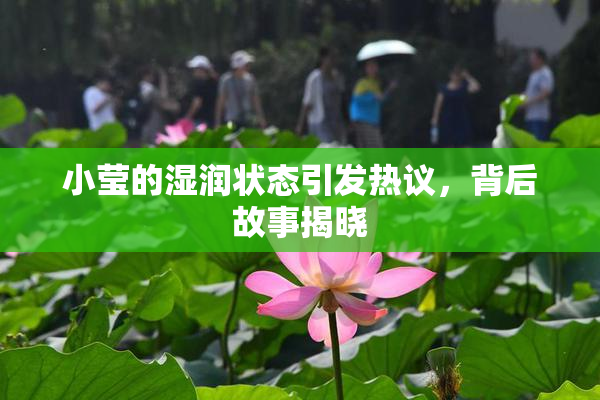 小莹的湿润状态引发热议，背后故事揭晓